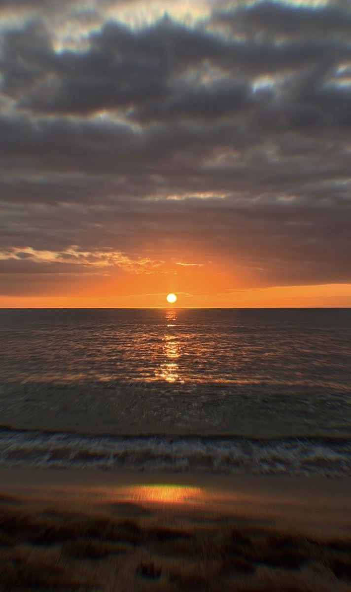 BAYnana🐻🐻‍❄️ tweet media