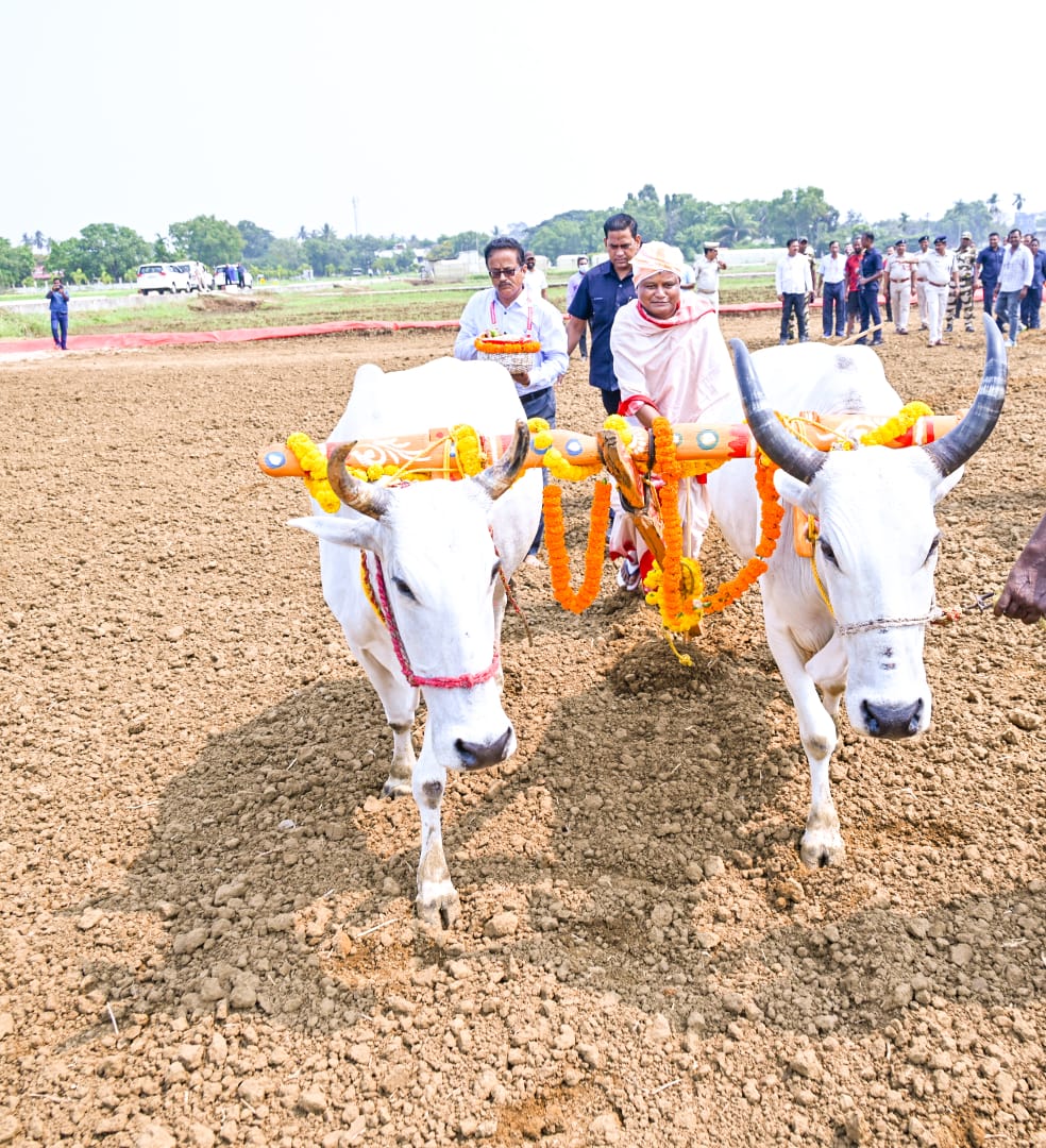 sambad_odisha's tweet image. #ଆଜି_ପବିତ୍ର_ଅକ୍ଷୟ_ତୃତୀୟା
#ହଳ_କଲେ_ମୁଖ୍ୟମନ୍ତ୍ରୀ
ପବିତ୍ର ଅକ୍ଷୟ ତୃତୀୟା ଅବସରରେ କଟକର ସିଆରଆରଆଇ ଠାରେ ଅଖିମୁଠି ଅନୁକୂଳ କଲେ ମୁଖ୍ୟମନ୍ତ୍ରୀ ମୋହନ ଚରଣ ମାଝୀ ।
#Sambad #AkhiMuthiAnukula #MohanCharanMajhi #OdishaCM #AkshayaTritiya #CRRICuttack #FarmersFestival #OdishaTradition