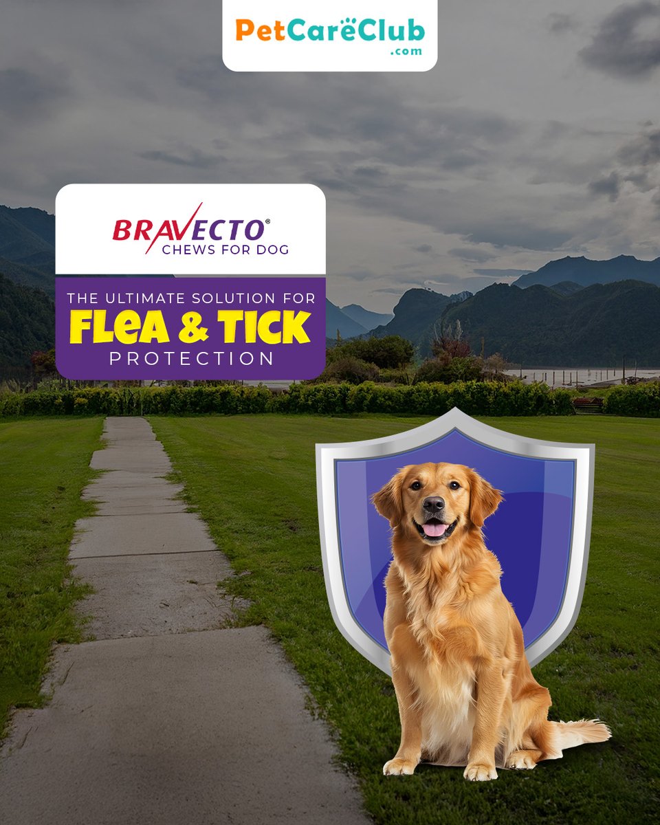 PetCareClub's tweet image. 🐶 Bravecto Chews for Dogs - Say Goodbye to Fleas &amp;amp; Ticks 👋

One chew = 12 weeks protection 📌
Fast-acting, easy to give, and long-lasting!

Learn everything you need to know 👇
🔗 petcareclub.com/dog-supplies/b…

#DogHealth #PetCare #FleaControl