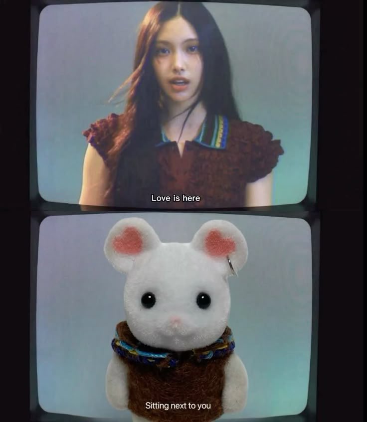 강냥쪼 tweet media