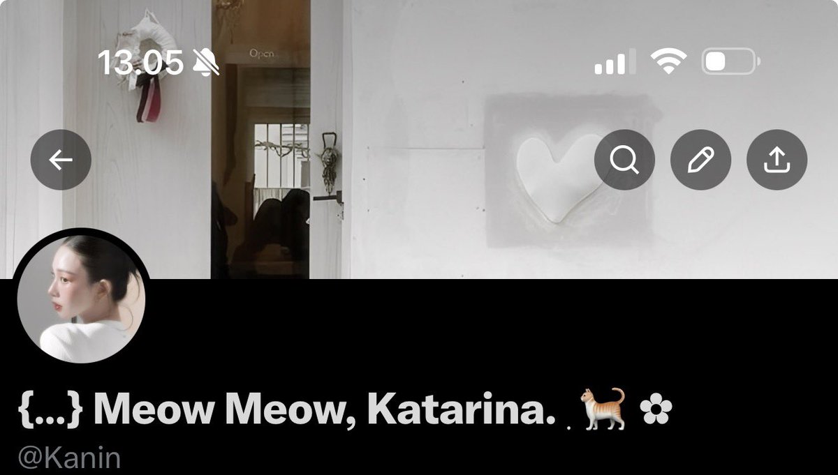 Bianca Ageru. tweet media