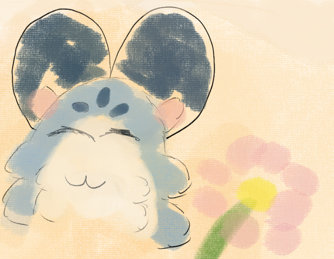 SwampMeat🐱 The Swamptino tweet media