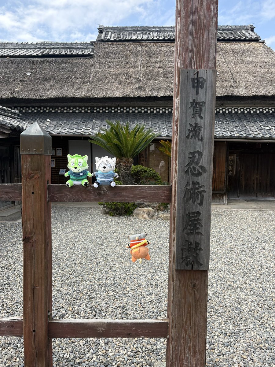 樹下次郎 tweet media