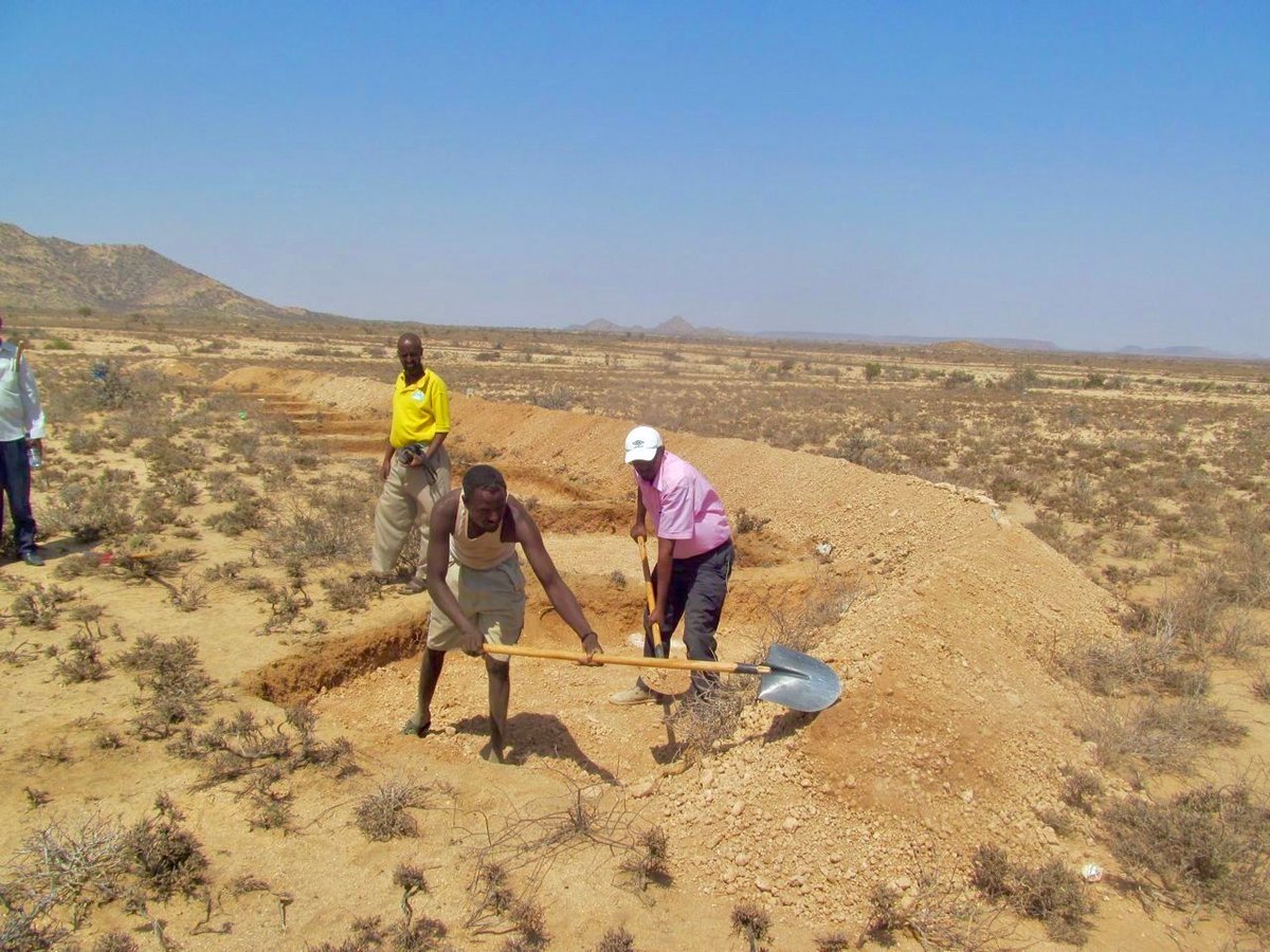 FAOclimate's tweet photo. The #SCALAprogramme helped mobilize over USD 170 million in countries including 🇨🇴 Colombia, 🇸🇴 Somalia and 🇰🇭 Cambodia supporting resilient, low-emission agriculture and gender-responsive, transformative actions.

🌐 https://t.co/uygZbz6mXf

@IKI_germany https://t.co/C2fGkFAvFa