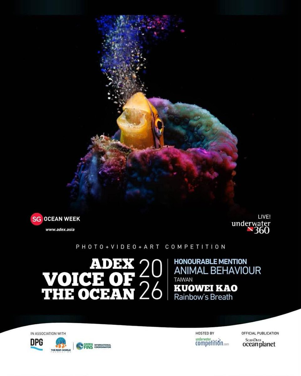 Taiwan_Today's tweet image. #Taiwanese🇹🇼 underwater photographer Kao Kuo-wei  is the winner of the Honorable Mention at the ADEX Voice of the Ocean 2026!!! 

His work "Rainbow’s Breath" was taken at Anilao, the #Philippines, capturing a moment when a little fish called Benny which spits a mouthful of sand