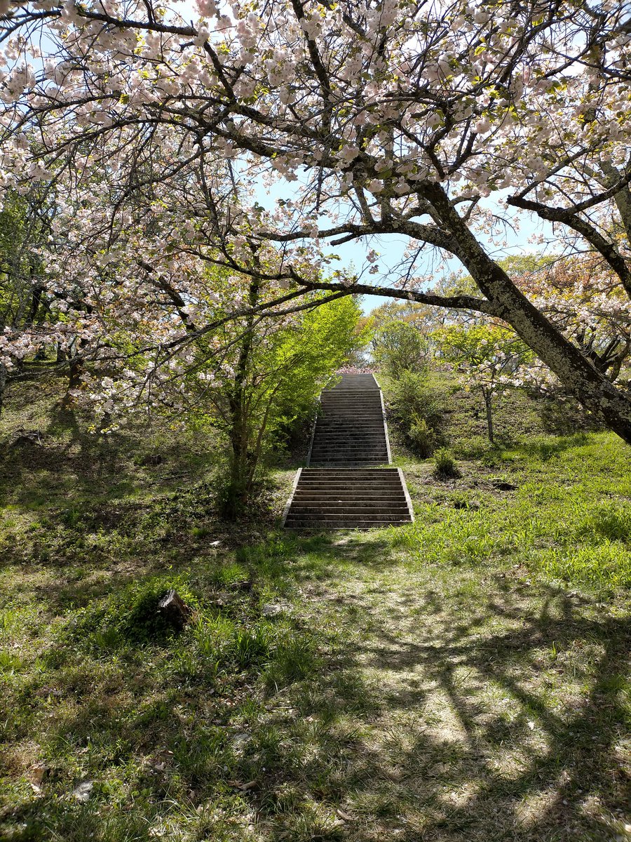 Taraco313's tweet photo. 低山ハイク。山桜、その他の花見頃でした🌸
移動中は読書に集中できる時間。Rickyさんは主催のハイキングに参加させてもらったご縁もあり、尊敬する投資家のお一人。
メンタルに関する記述が多く、FIREを考えている人に参考になると思います。避難訓練的に『想像力』を働かせる、めちゃ刺さりまくる！ https://t.co/W1P9ngLOBI