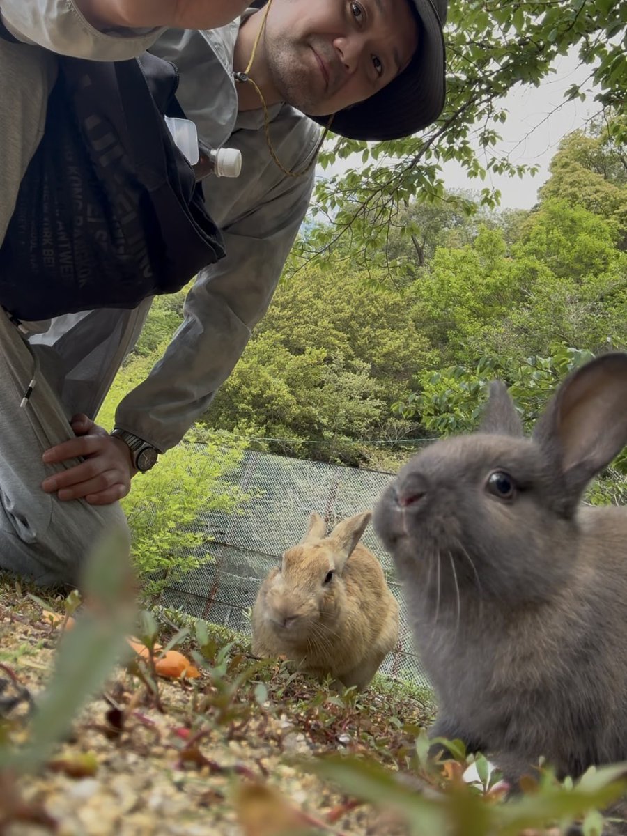 夕ケシャツ tweet media