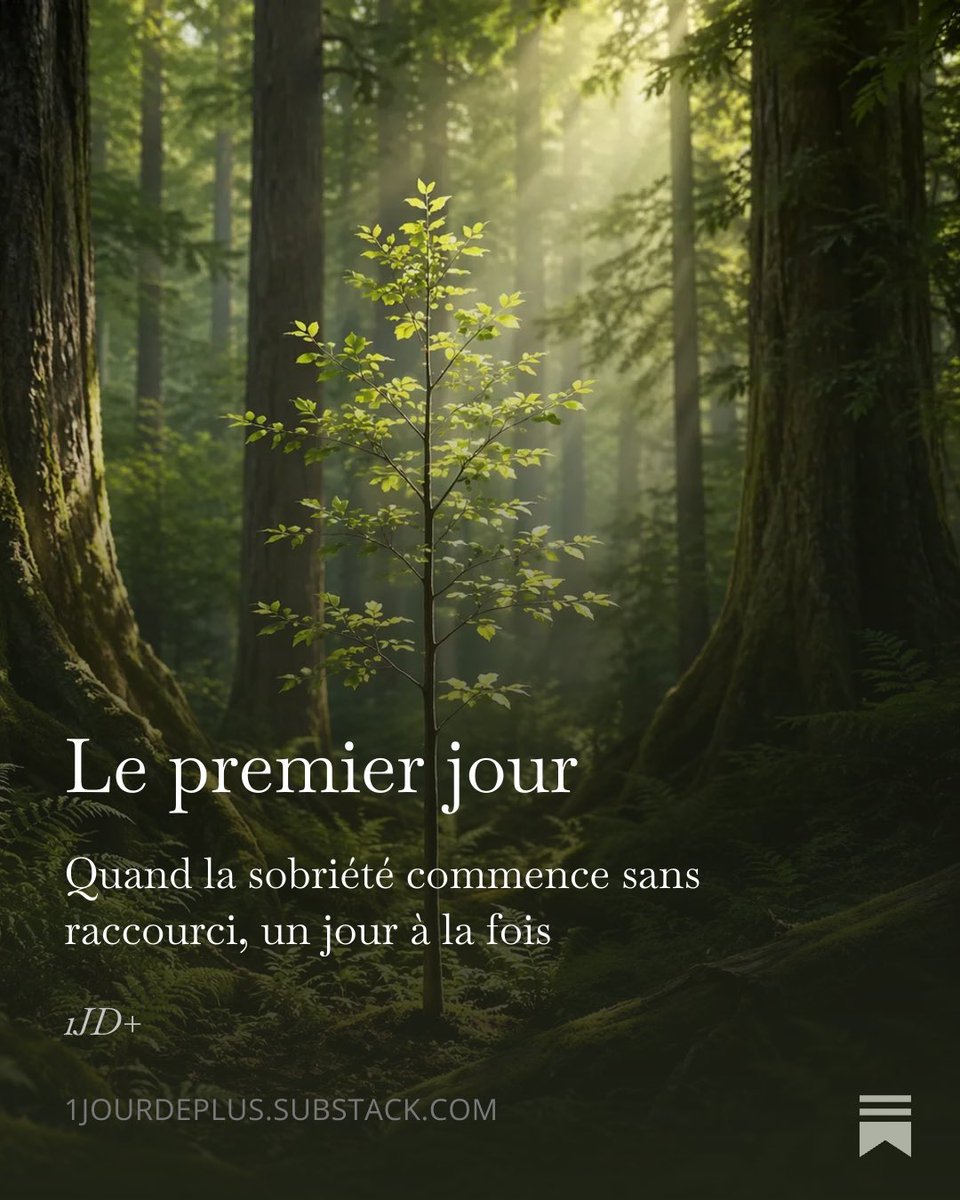 BoufEric's tweet image. Quand le manque se fait sentir, une question revient avec insistance : comment tenir aujourd’hui ?

Parfois, la sobriété commence exactement ainsi : non par une certitude, mais par une résistance simple.

Lien à suivre 👇 open.substack.com/pub/1jourdeplu…
#Sobriété #Alcool #PremierJour