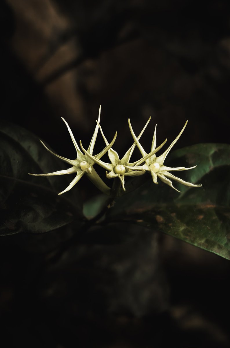 Paritosh_33's tweet image. Some fun shots..
Have an awesome day..
#Monday