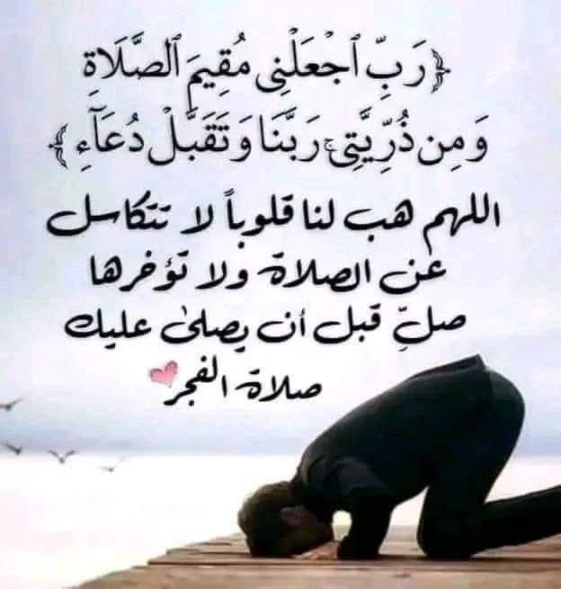 ميوش tweet media