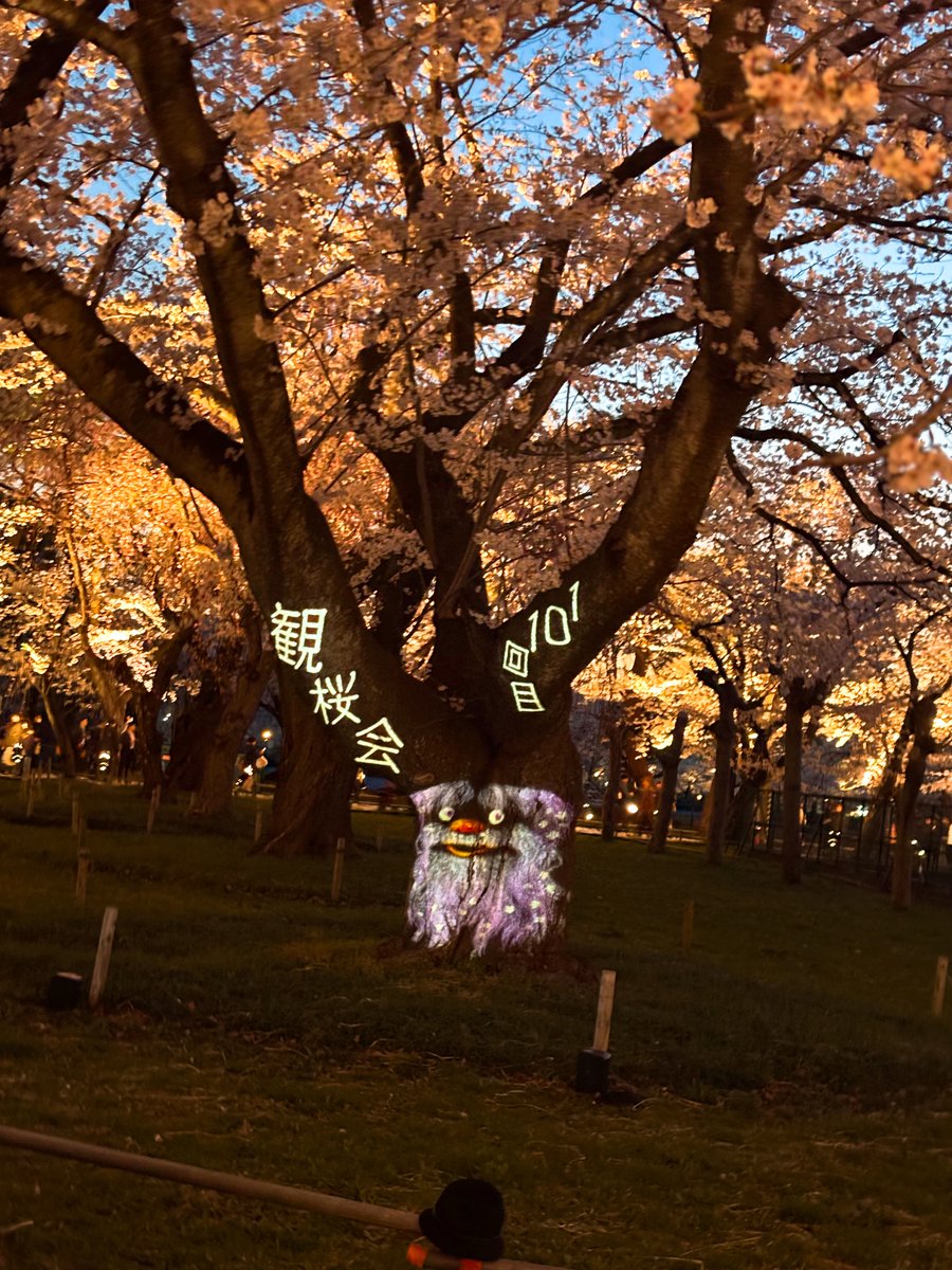 reform_outlet's tweet photo. 春の風物詩　夜桜🌸｜新潟市・上越市で安い水廻りリフォーム業者｜リフォームアウトレット｜スタッフブログ https://t.co/IbmpcSPoBe https://t.co/7L3s0HzgZy