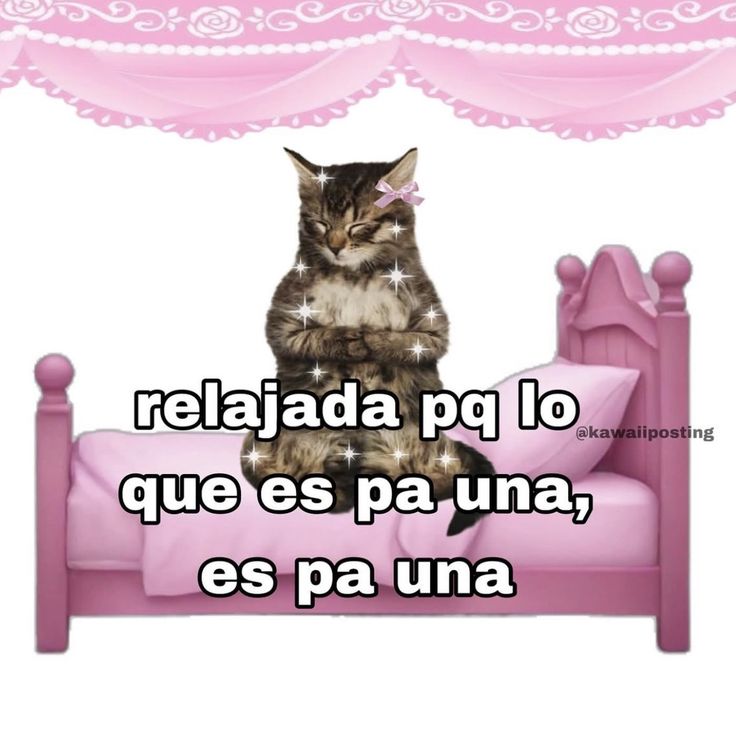 maar || agenda abierta🦋 tweet media