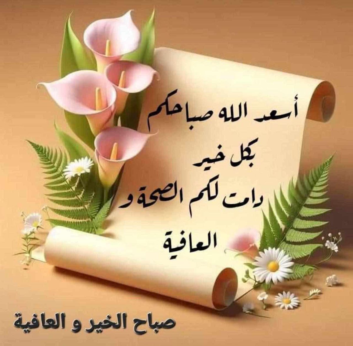 Ⓜ️🅾️h@♏ed s🅰️af@n🤍🤍💚💚🦅🦅🦅♥♥ tweet media