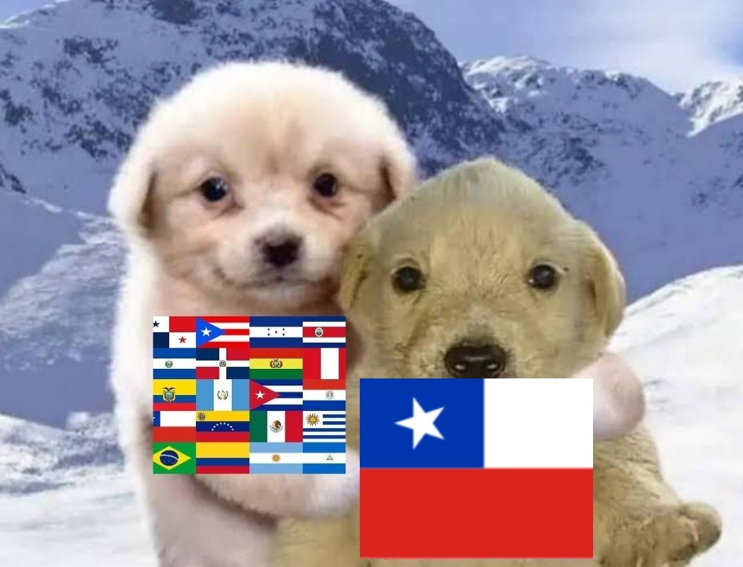 Diana🇲🇽🏳️‍⚧️queso ahumado a la parrilla tweet media