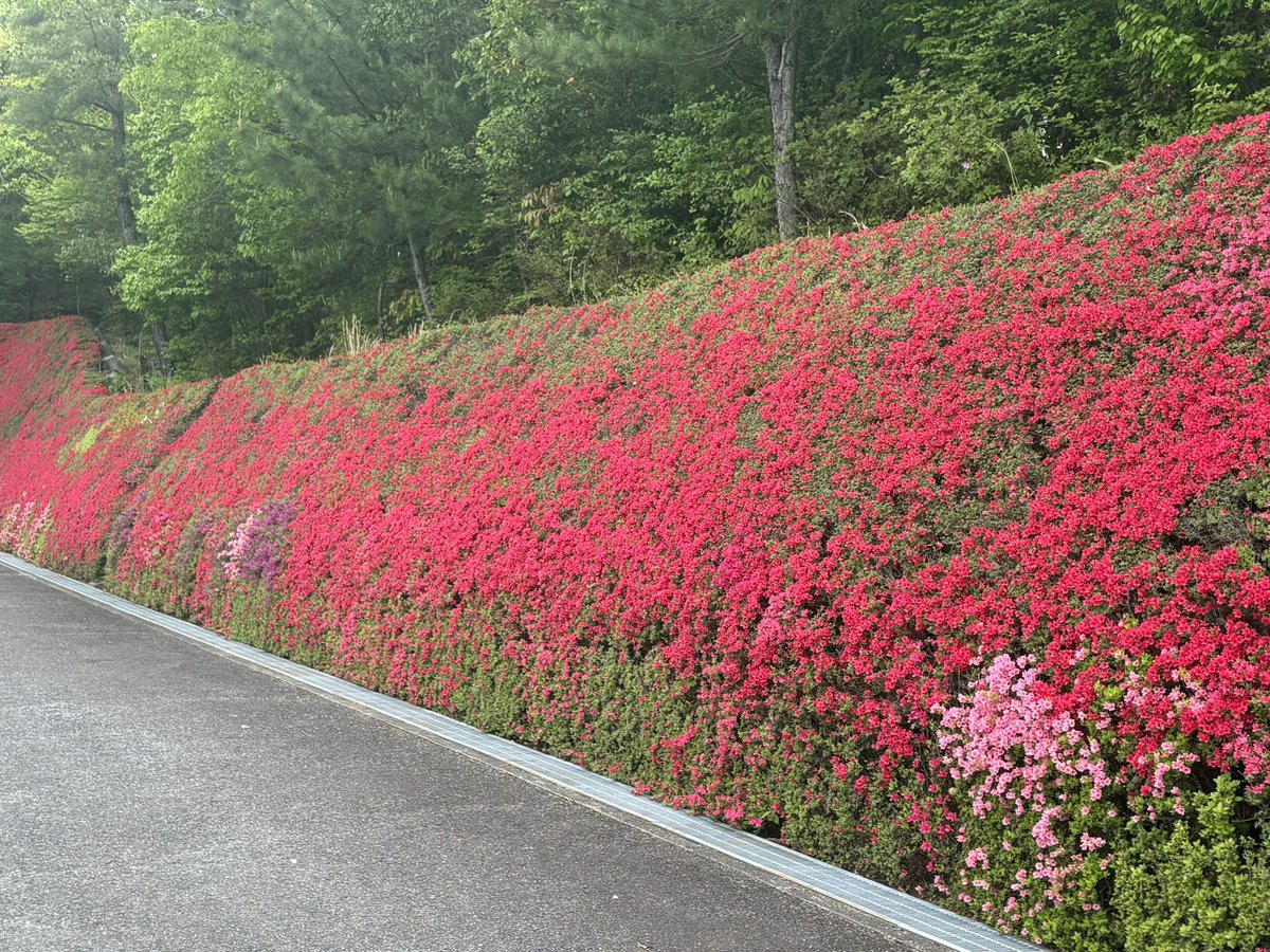 千乃🧸 tweet media