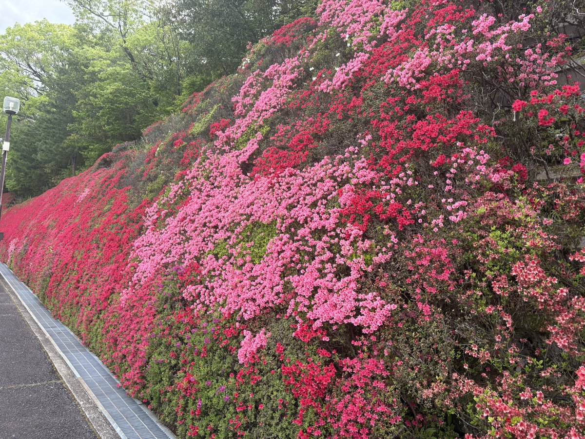 千乃🧸 tweet media