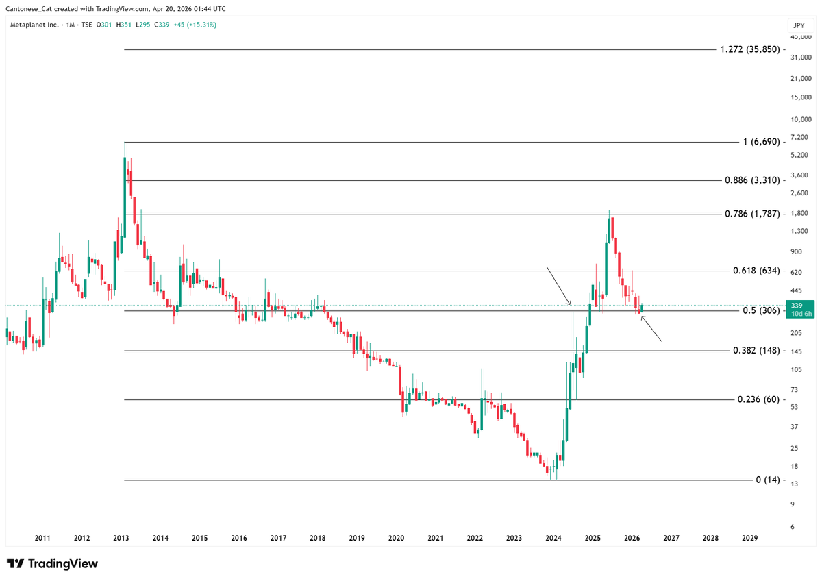Cantonese Cat 🐱🐈 tweet media