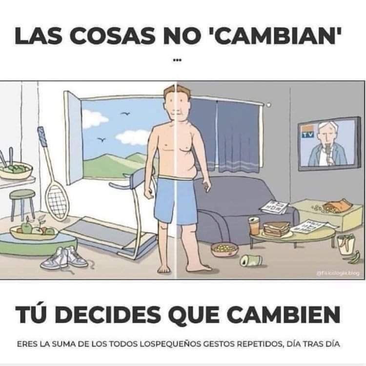 Disciplina tweet media