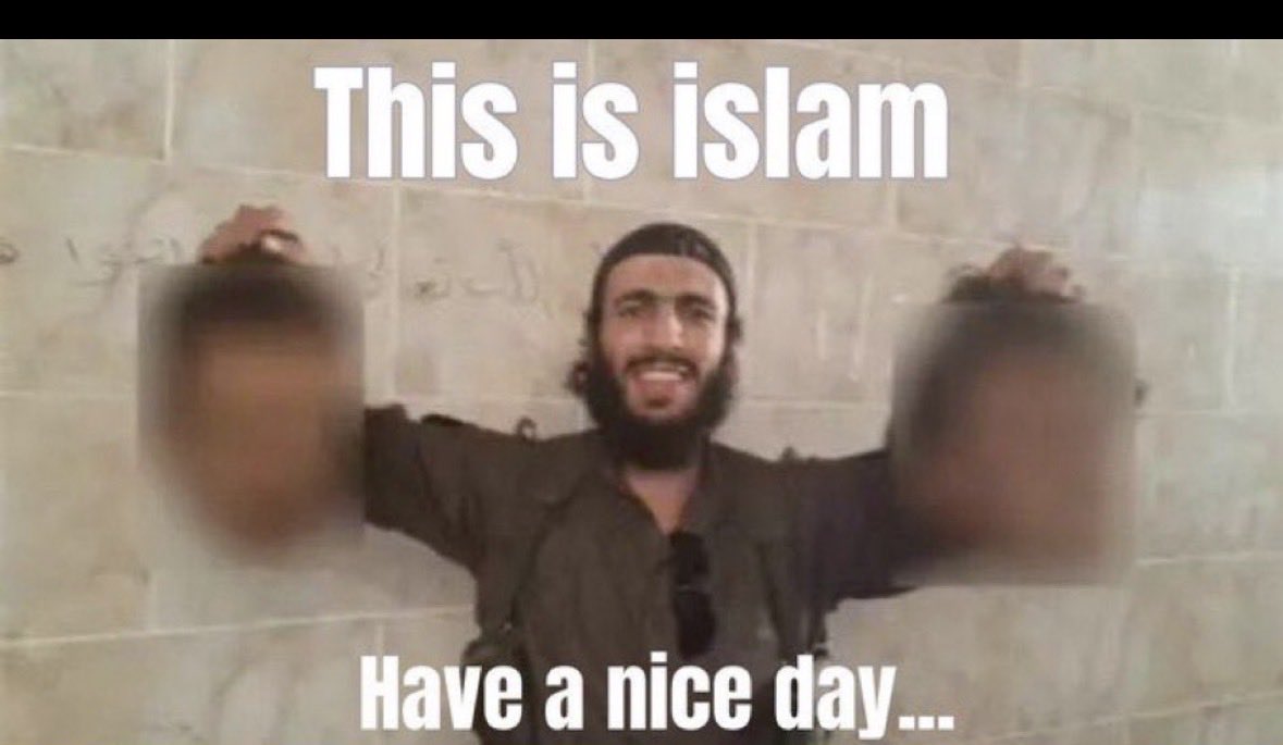 Meatballs n Paradise tweet media