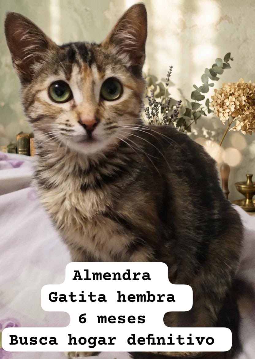 𝙷𝚎𝚕𝚊 𝙼𝚘𝚛𝚎 🐶 tweet media