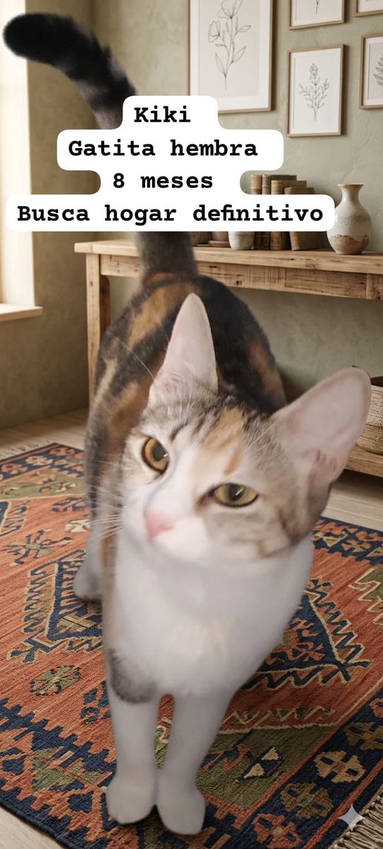 𝙷𝚎𝚕𝚊 𝙼𝚘𝚛𝚎 🐶 tweet media