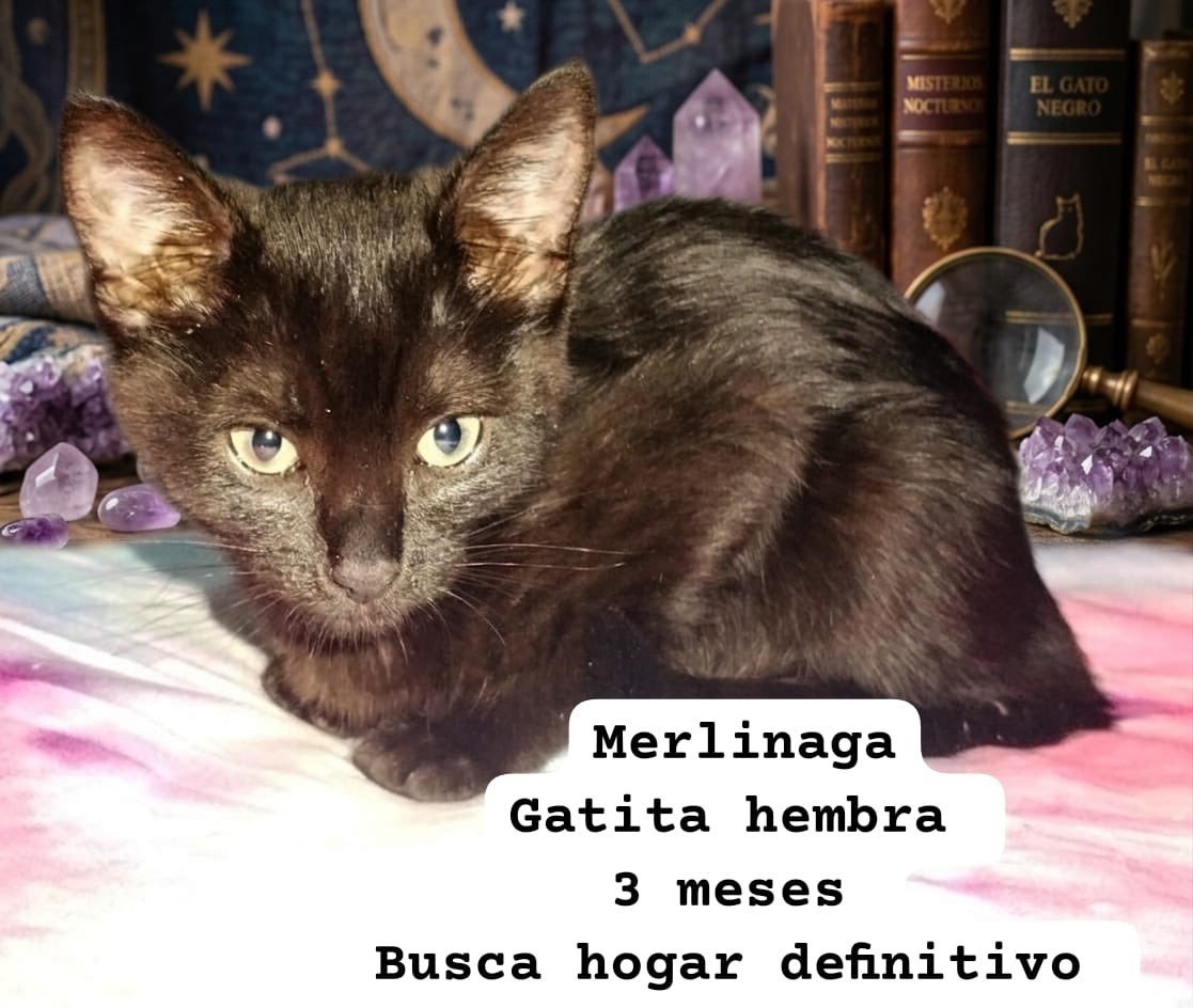 𝙷𝚎𝚕𝚊 𝙼𝚘𝚛𝚎 🐶 tweet media