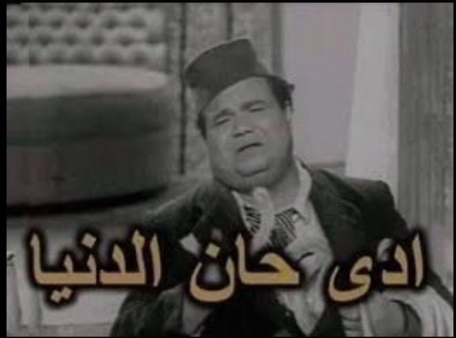 Ⓜ️🅾️h@♏ed s🅰️af@n🤍🤍💚💚🦅🦅🦅♥♥ tweet media