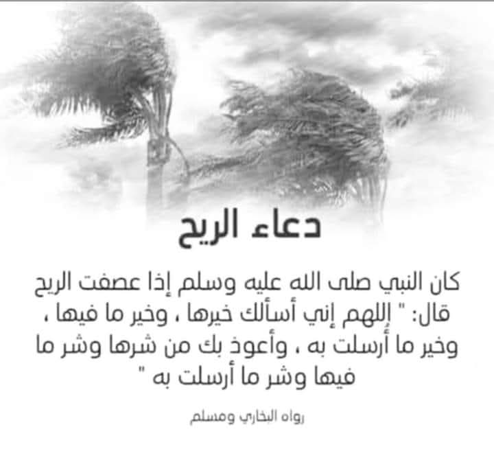 adel_almerjah's tweet photo. اللهم إنا نسألك من خير هذه الرياح وخير ما فيها وخير ما أُمرت به ونعوذ بك من شرها وشر ما فيها وشر ما أُمرت به.
اللهم اجعل هبوبها رحمة ومجيئها فرجًا وأثرها خيرًا وبركة ولا تجعل فيها بأسًا ولا ضررًا ولا هلاكًا.
اللهم اصرف عنا وعن المسلمين شر الفتن والمحن واحفظ ديارنا وأنفسنا وأهلينا واجعل ما ترسله من الرياح سببًا للخير والرحمة والسعة.
اللهم أنت الرجاء وعليك التكلان وبك المستعان فارحم ضعفنا واجبر كسرنا واكتب لنا من لدنك لطفًا وأمانًا وعافيةً دائمة.