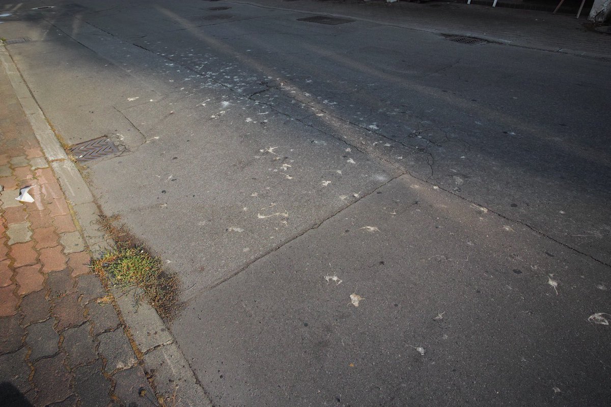 散歩がてら、ときどきシグマのdp0 Quattroで撮影していたが、2020年11月末を最後に、まったく使わなくなっていた。

上野 修 <a href="/uenosamu/">上野修</a> 
カメラガガ
31 アリバイ

photoandculture-tokyo.com/contents.php?i…

#ピクトコラム