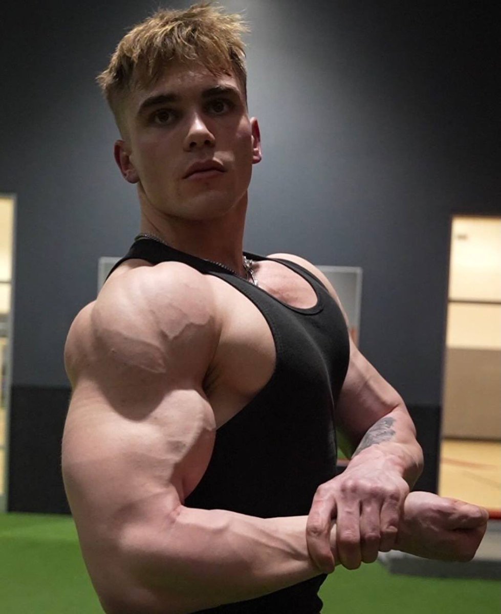 Alpha Muscle Promo tweet media