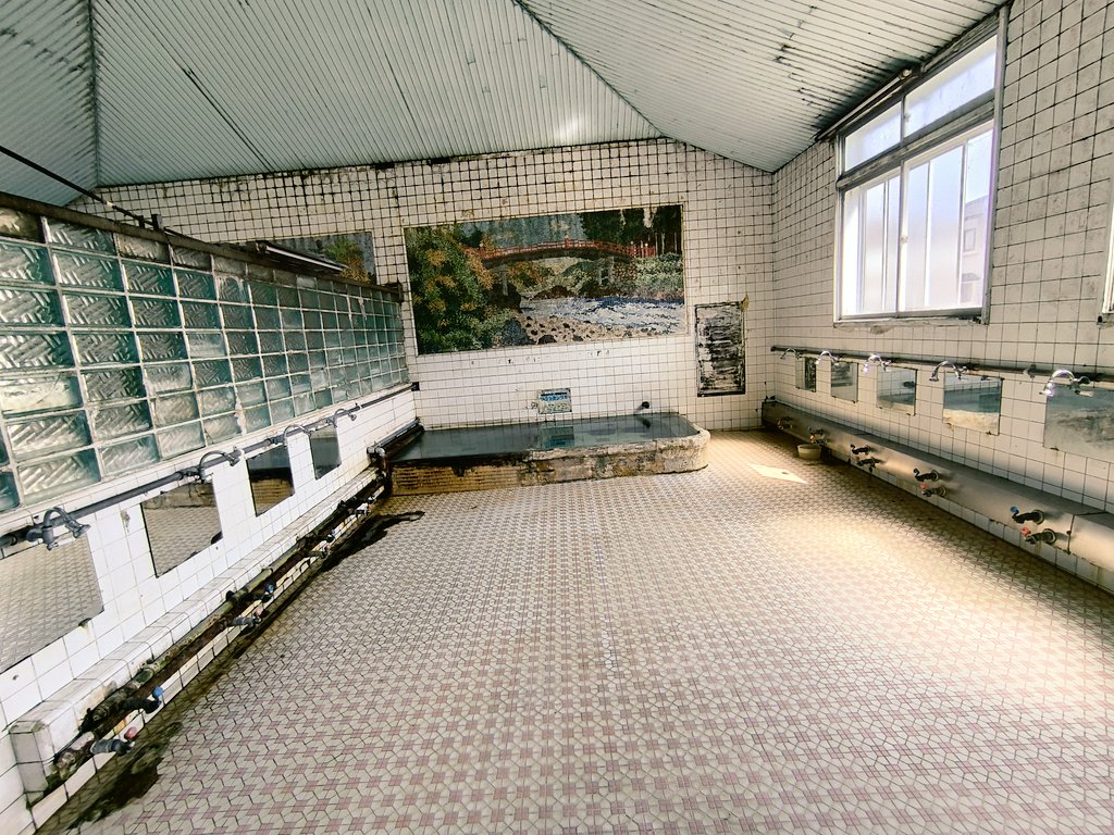 にほんパンダ🐼🎌🐦‍🔥 tweet media