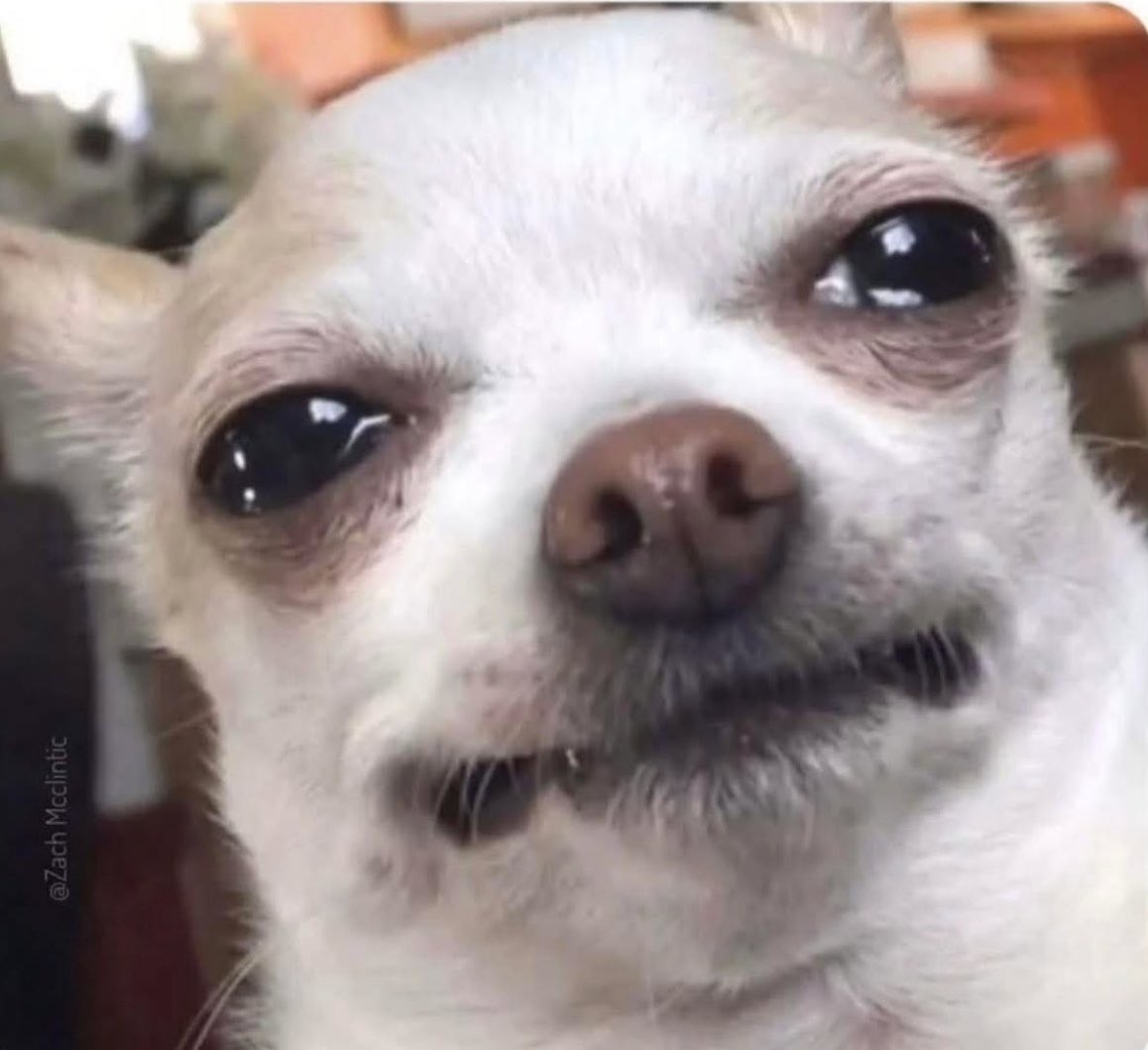 Luis Vercetti tweet media