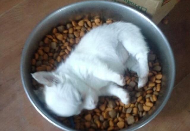 코낸......💤 tweet media