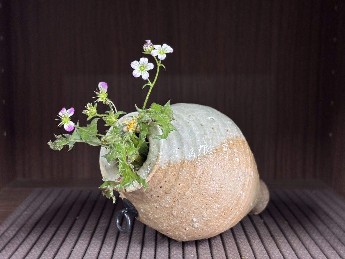 骨董　信楽焼　繪垣紋壺　花瓶　江戸時代 骨董 信楽焼 繪垣紋壺 花瓶 江戸時代 【公式通販】