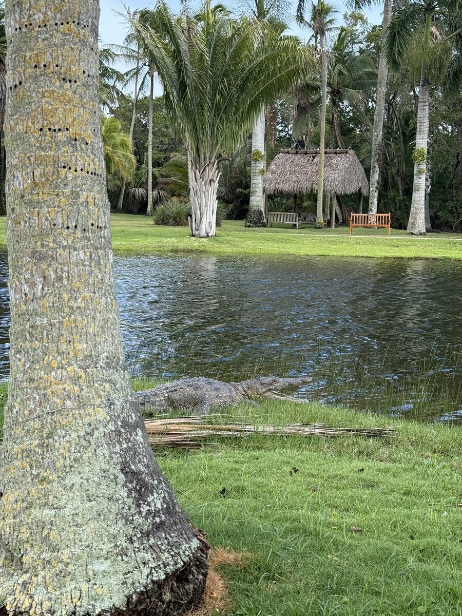 Ed Stone tweet media