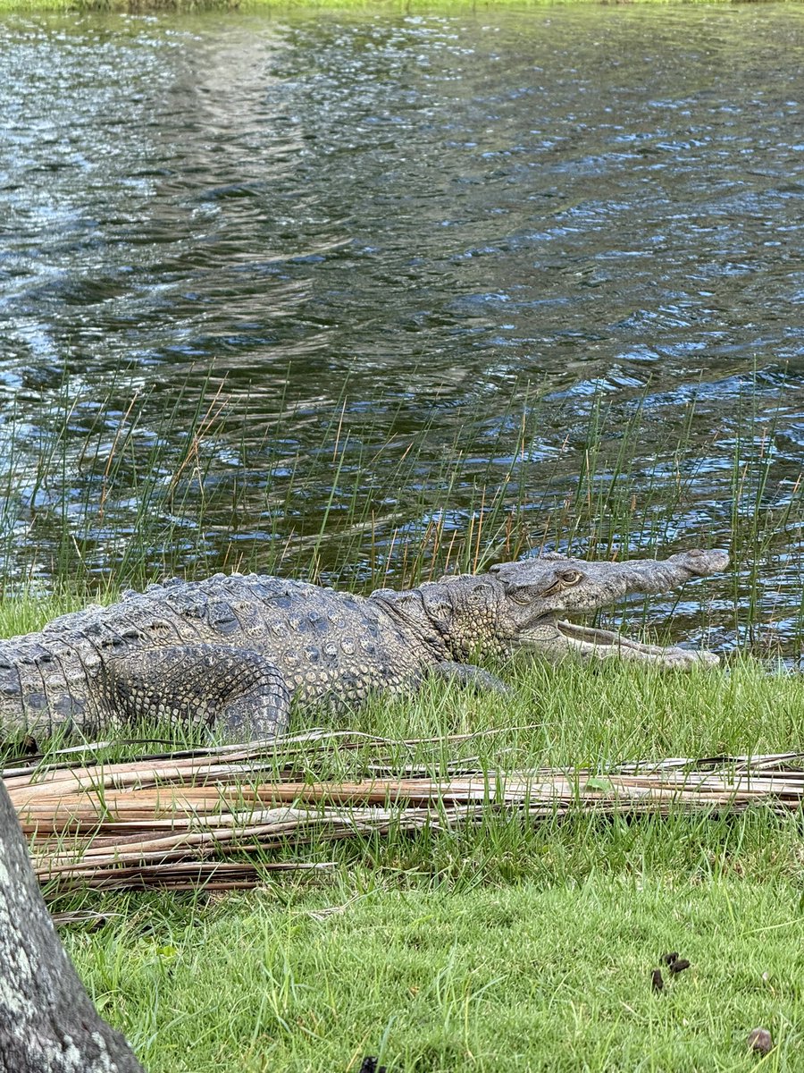 Ed Stone tweet media