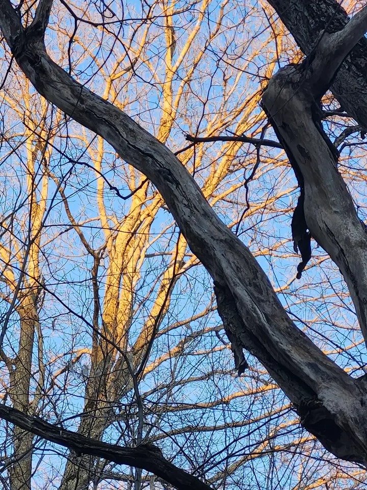 NicoEstevelle's tweet image. Por tanto, en las últimas ventanas semicirculares del hemisferio norte las mantas muy solemnes de hilos más abstractos se colaron por las rendijas curvas como serpientes de seda negra que hubieran aprendido a respirar.
#Photography.📸📸🥃🥃.
#ArcosPerfectos.🎨🎨🏞️🏞️.
#Colors.