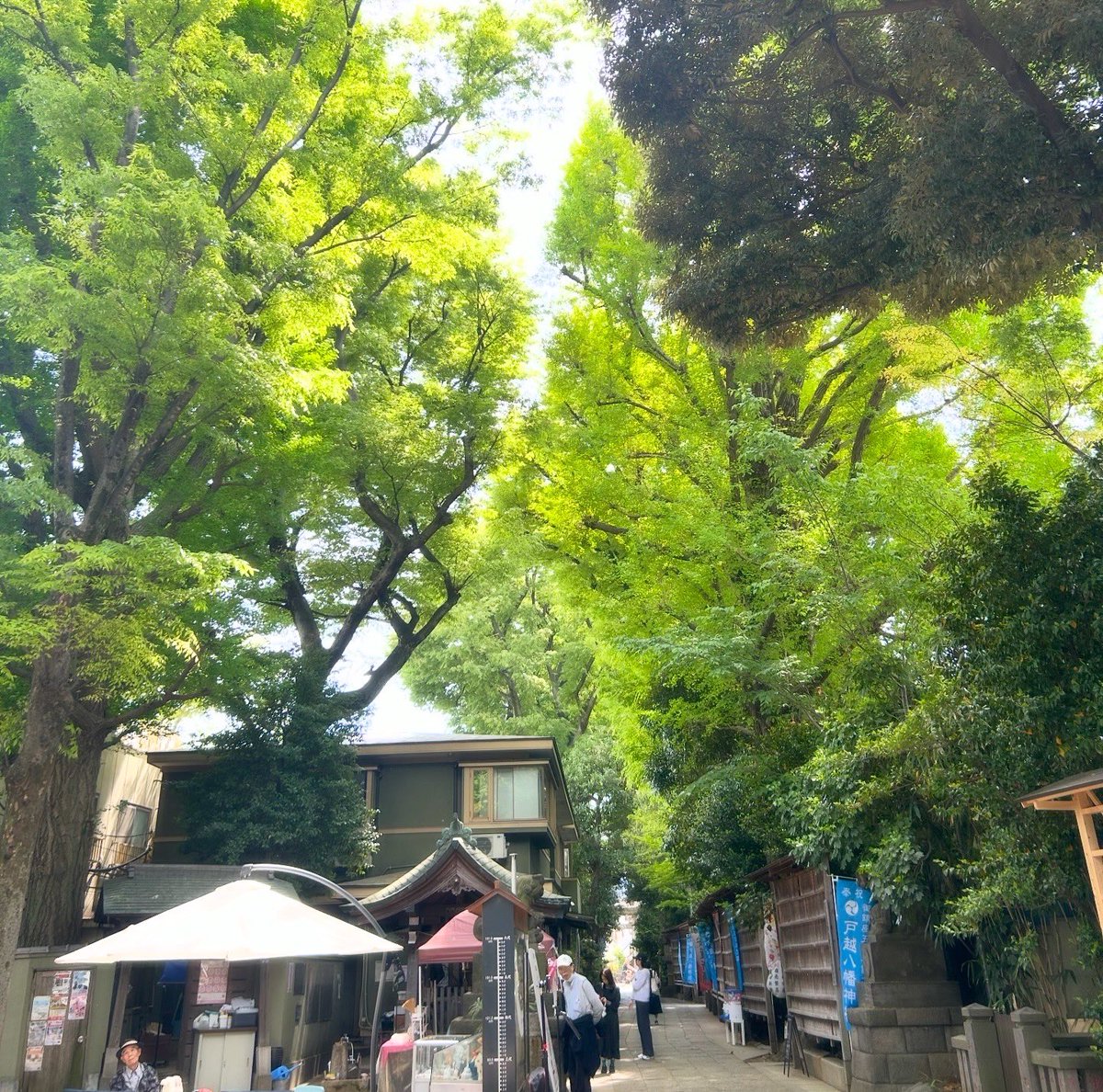 多田沙織 tweet media