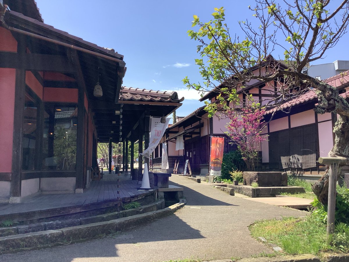 はづちを tweet media