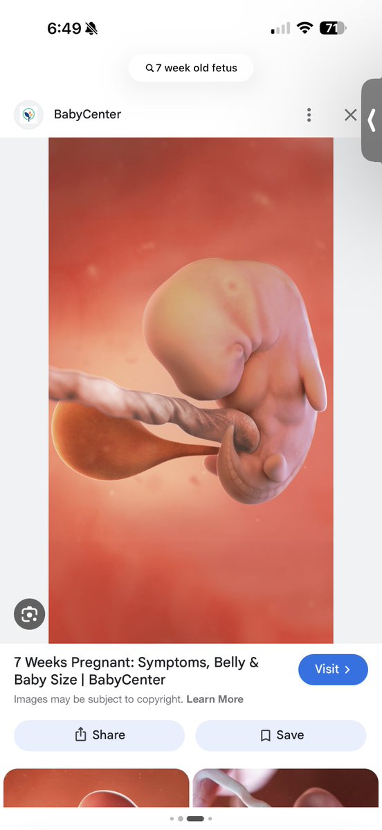 haņņah ♿️✨ tweet media