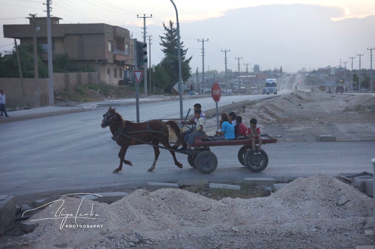 以前トルコとシリアの紛争中に国境の街へ行った

鉄条網がありお互いの監視状態の中、ネコたちが緩衝地帯をのんびりと行き来している光景を見た時に思った…

いいさ、戦いたい奴だけで争えよ。
そのかわり、戦いたくない人間を巻き込むなよ。
兵器を使って地球を壊すなよ。
動物たちを巻き込むなよ。
