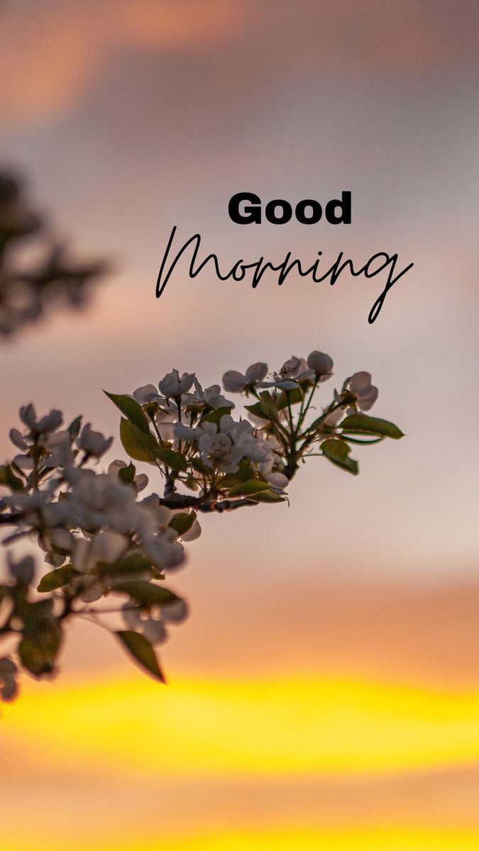 Dr. (Mrs) D L Reddy DPhil. tweet media