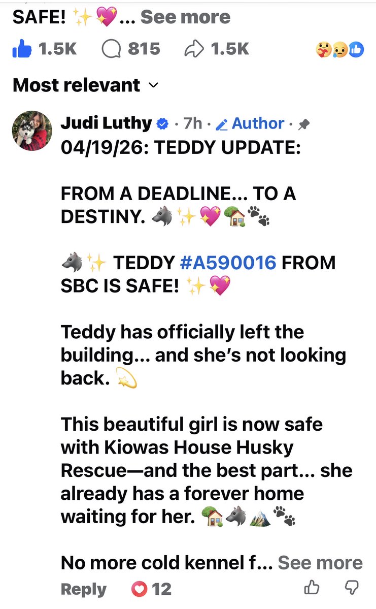 Fionaismybitch tweet media