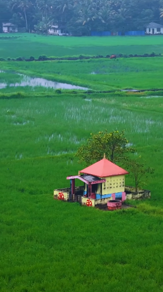 Good morning wishes to all 🥰