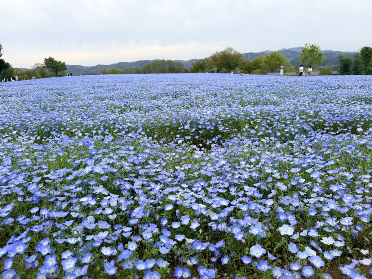 この前の💠💙🫶💠💙