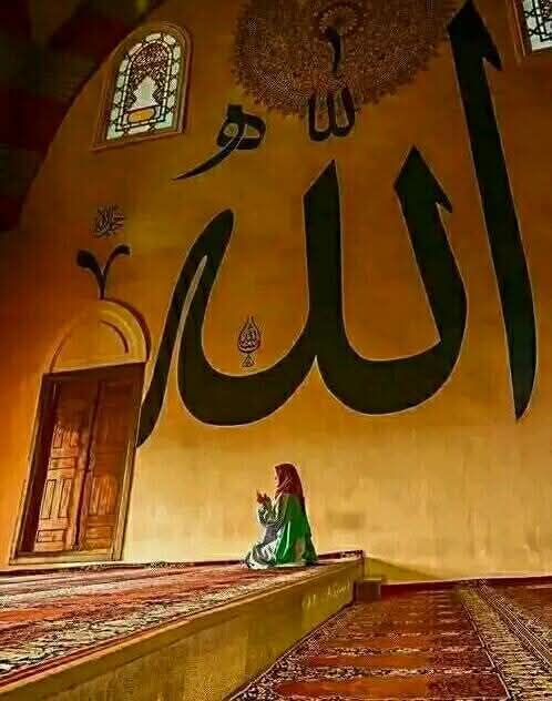 Najwan Muhammad 🇪🇬🐰🇪🇬 tweet media