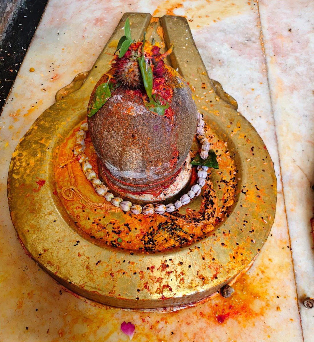 DrCharudatta pingale tweet media