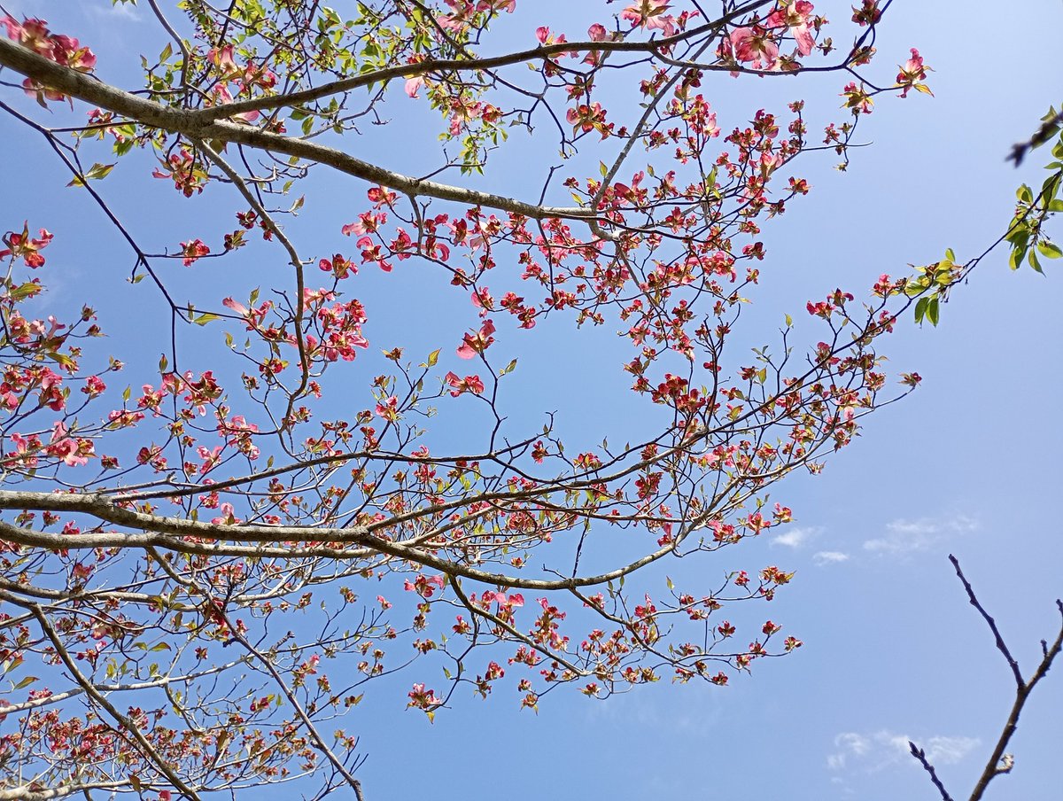 木下智哉＠バリバリ作詞&作曲家 tweet media