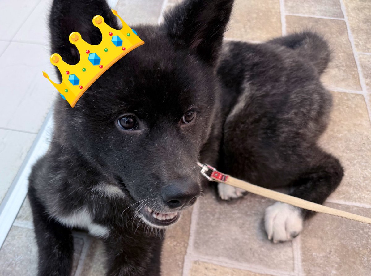 小櫻ぬな🚬🐈‍⬛VelVe tweet media