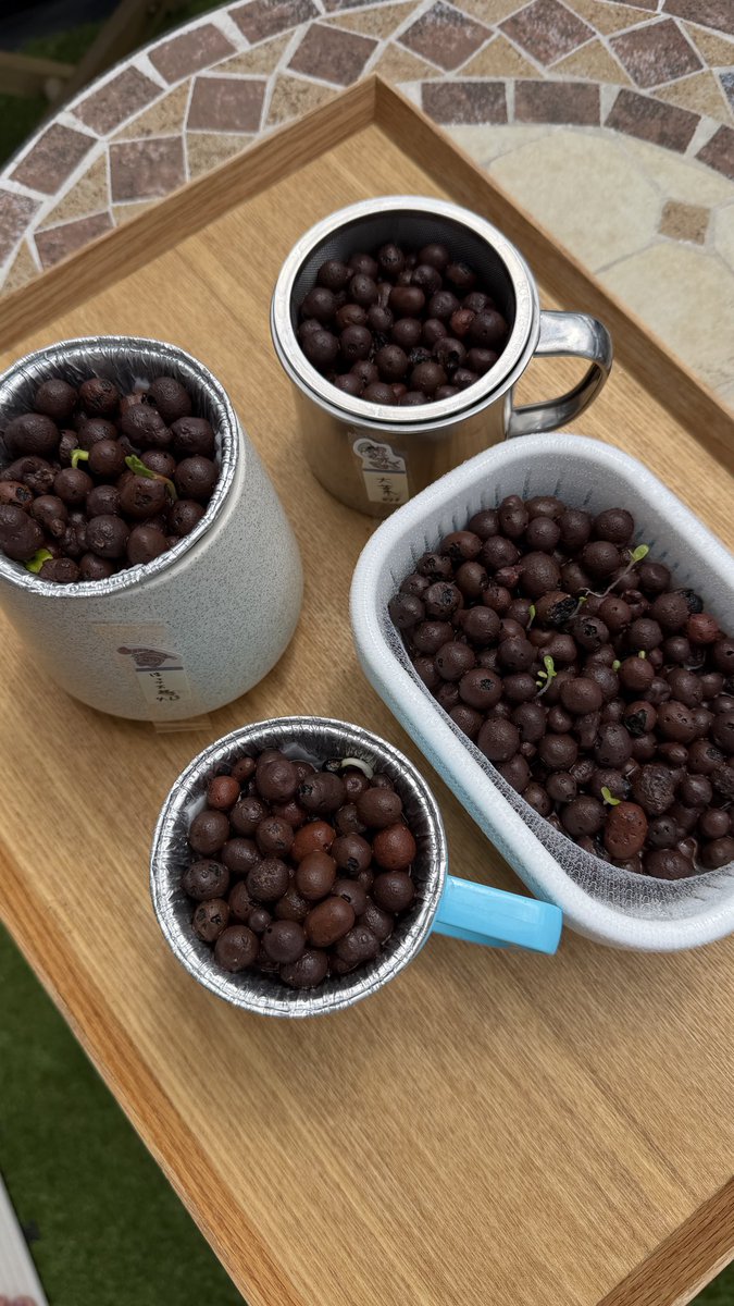 小早川 怜子Reiko kobayakawa tweet media